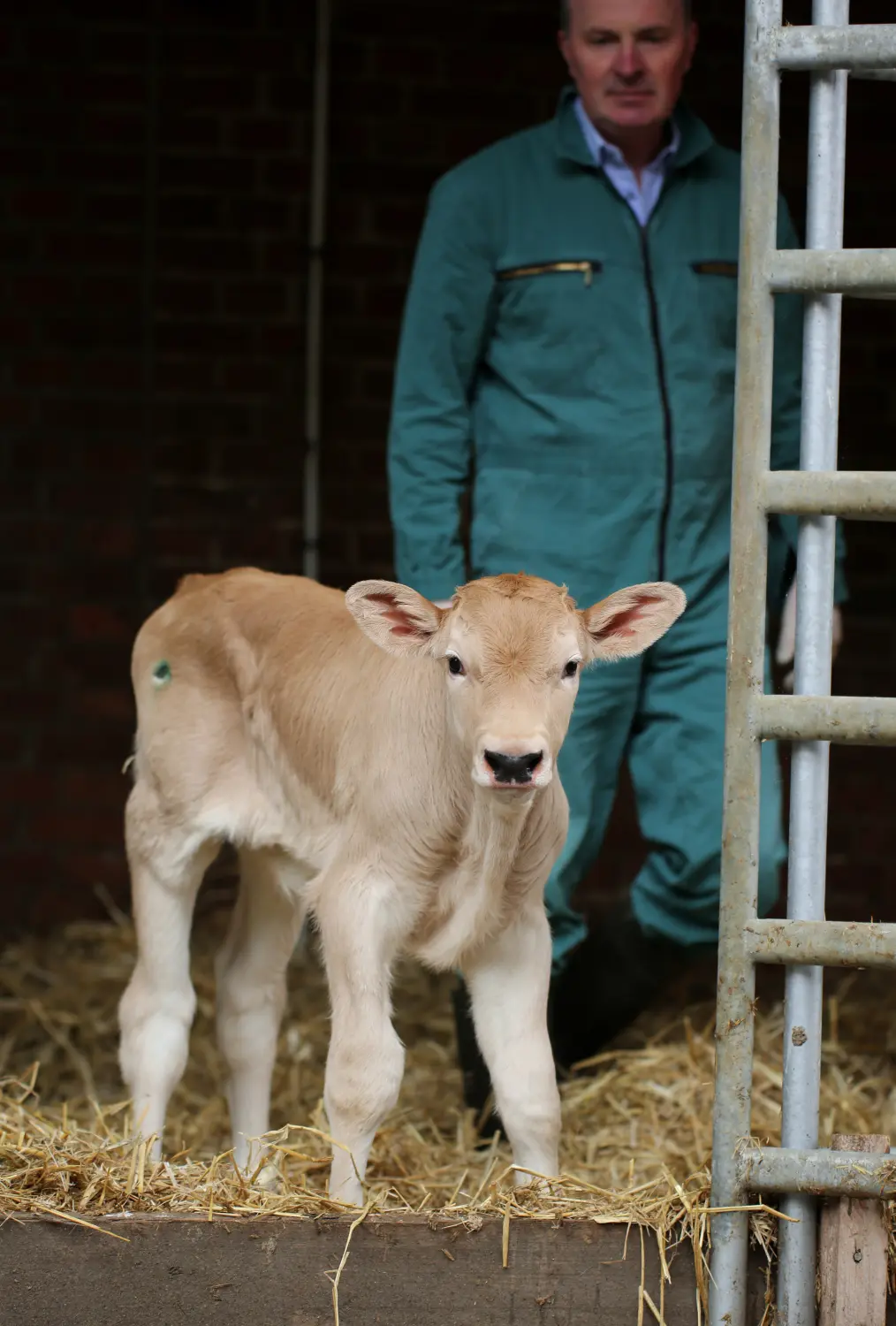 Tierschutz durch Großtierpraxis